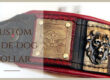 Roman inspired dog collar for American bulldog