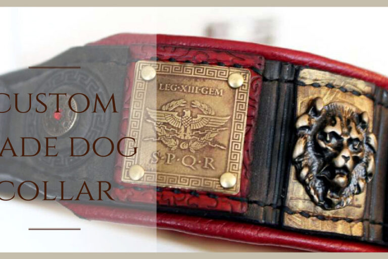 Roman inspired dog collar for American bulldog Roman inspired dog collar for American bulldog