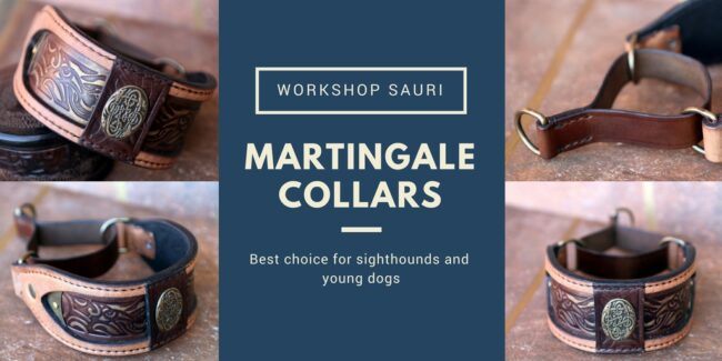 Martingale collar Martingale collar