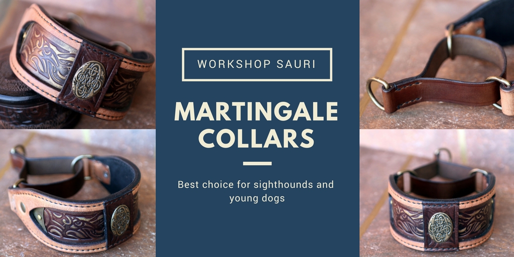 Martingale collar Martingale collar