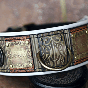 Antique leather dog collar with name GREEN IMPERIAL by SAURI