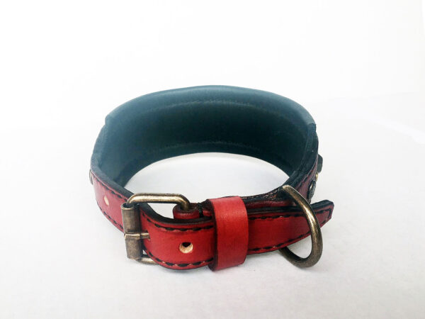 Buckle medium dog collar Workshop Sauri