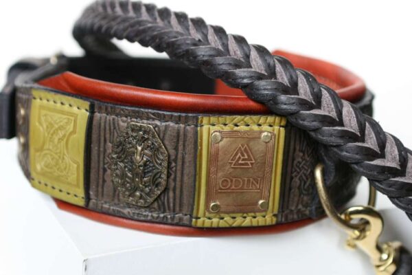 Custom engraved big dog collar and leash