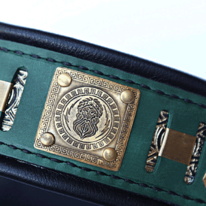 Custom engraved big dog collar with name ZEUS by SAURI