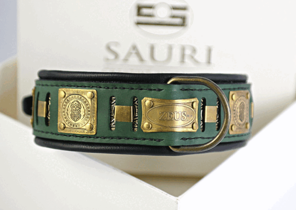Custom engraved dog collar with name ZEUS by SAURI