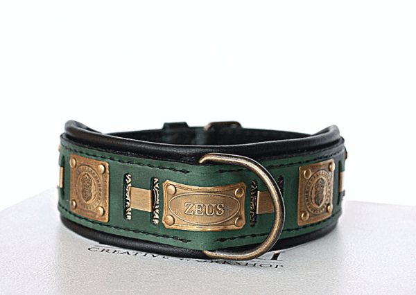 Custom engraved leather and brass dog collar with name ZEUS by SAURI