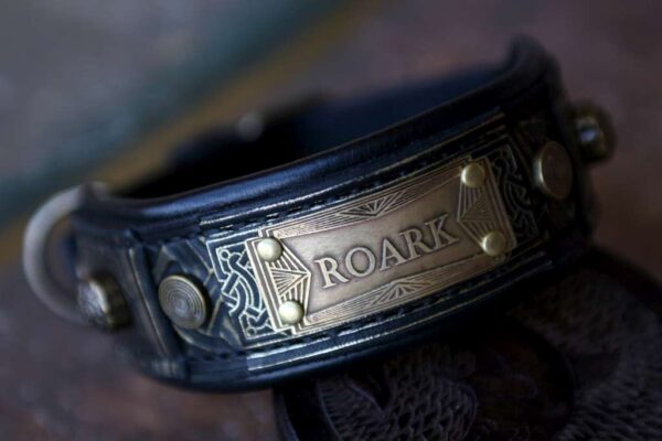 Custom made leather dog collar ROARK by Workshop Sauri
