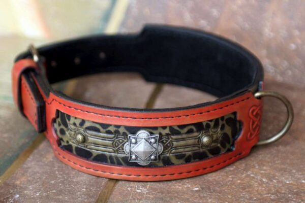 Designer leather dog collar by Workshop Sauri