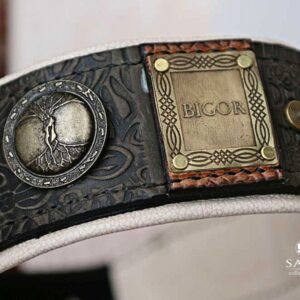 Leather dog collar with antique nameplates IMPERIAL by Workshop Sauri scaled 1