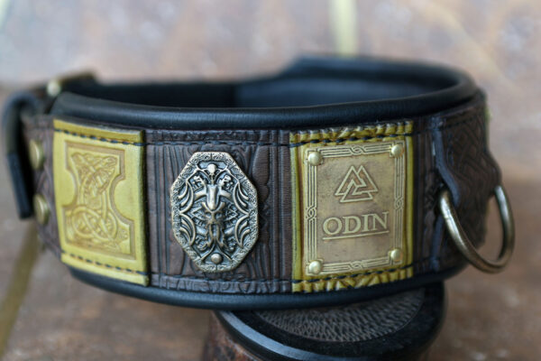 Odin custom big dog collar by Workshop Sauri