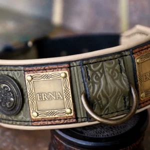 Personalized green leather dog collar by SAURI