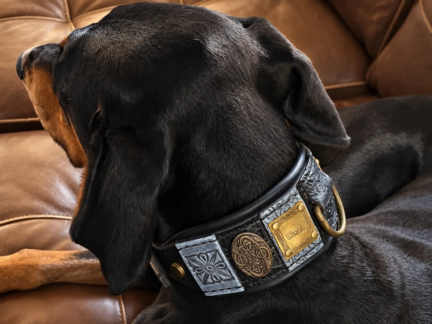 Personalized antique nameplate on luxury leather dog collar by SAURI