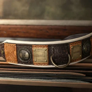 Personalized brown leather dog collar IMPERIAL by SAURI