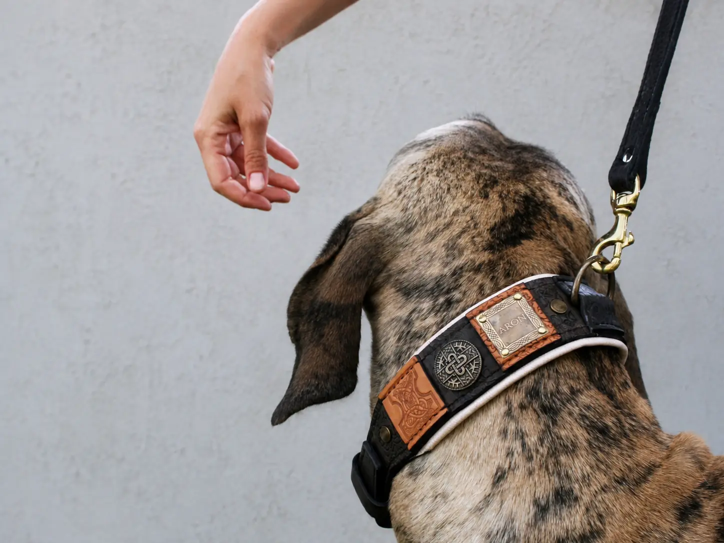 Personalized handmade leather dog collar for large dogs IMPERIAL by SAURI