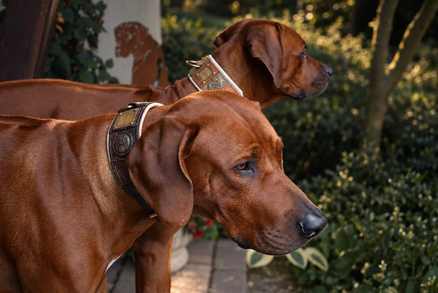 Personalized leather dog collars for large dogs IMPERIAL by SAURI