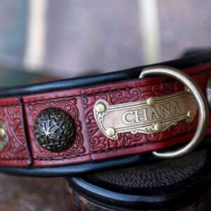 MADE TO ORDER 🔥🔥🔥 RED LV EMBOSSED DOG COLLAR AND LEASH SET