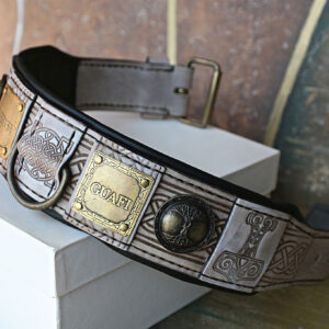 Premium quality XL Viking dog collar with name THOR by SAURI