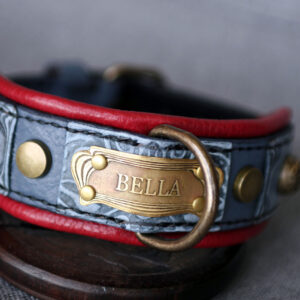 Red and grey dog collar TESLA by Workshop Sauri