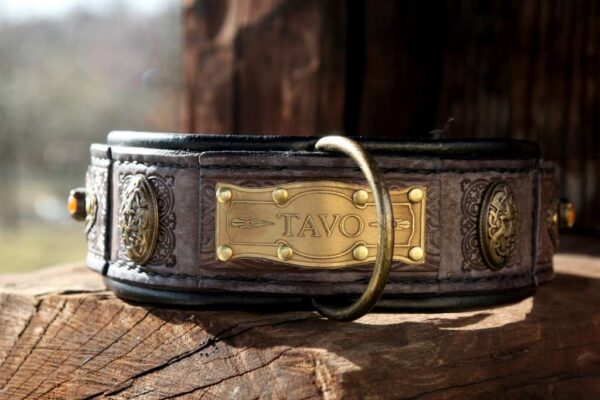 Rustic leather dog collar nameplate by Workshop Sauri