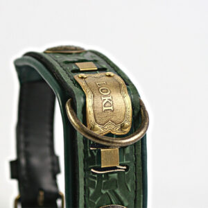 Viking dog collar with name and brass ornaments LOKI by SAURI
