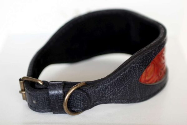 azawakh leather dog collar
