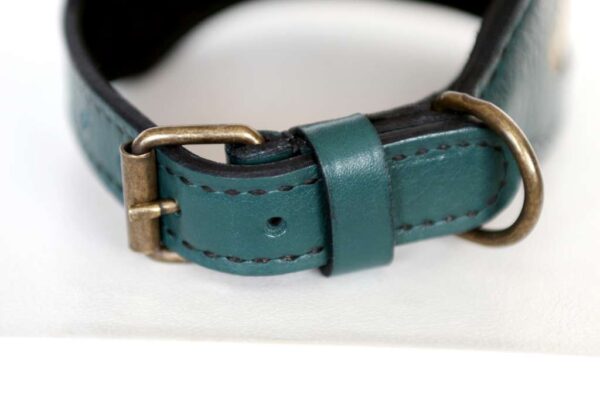 hiranya green leather dog collar buckle