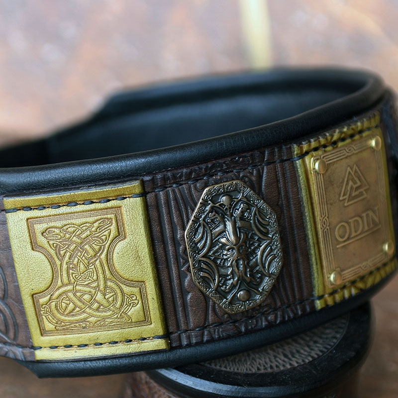 large dogs collars