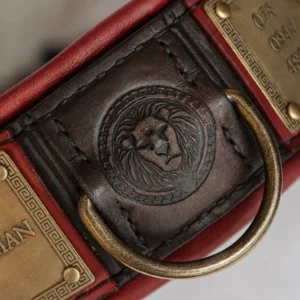 Personalized SPQR Roman dog collar by SAURI lion detail