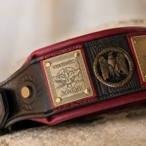 SPQR custom engraved Roman dog collar by SAURI