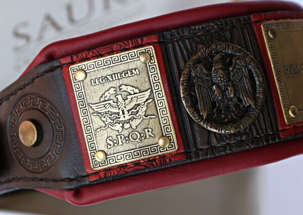 SPQR custom engraved Roman dog collar by SAURI