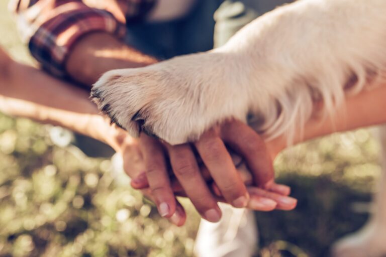 Fight animal cruelty Fight animal cruelty